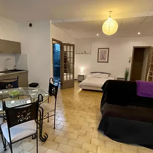 Patio Centre Appartement Roanne